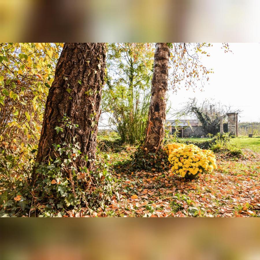 Willa Agriturismo Magnarosa Barge Zewnętrze zdjęcie